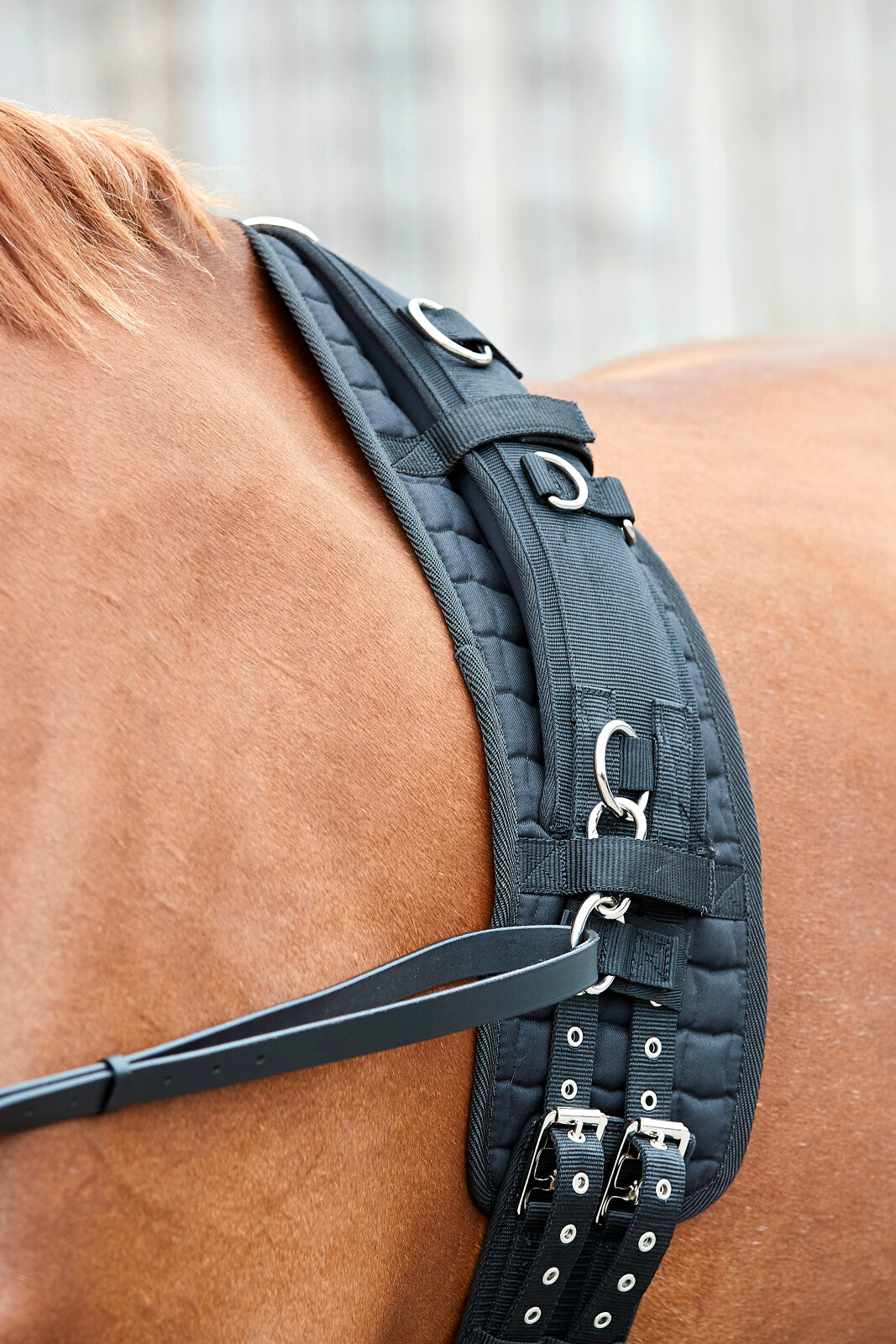 HorseGuard Kali longing girth pad