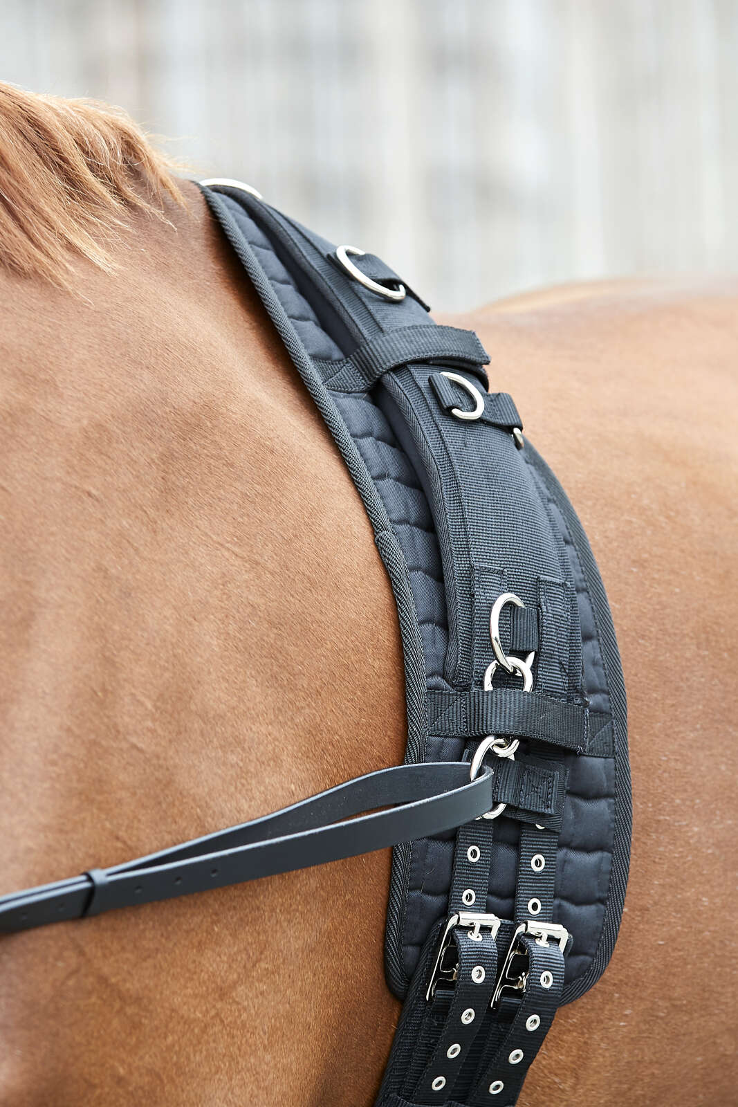 Horse Guard Kali longing girth pad