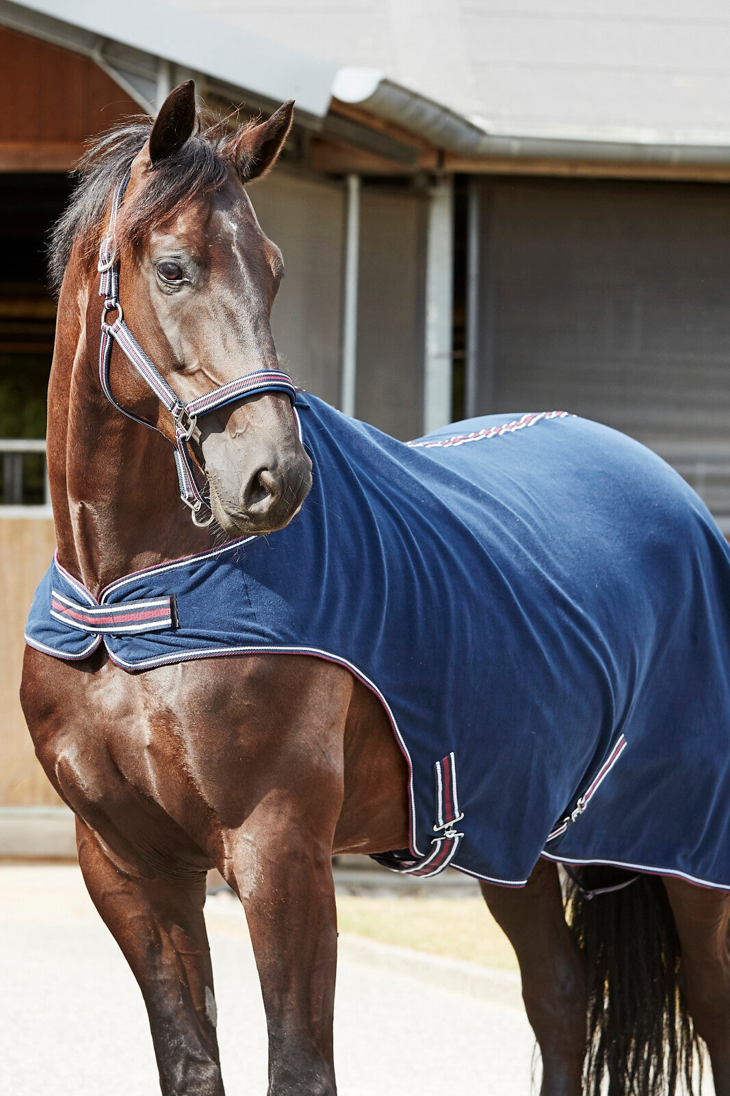 HorseGuard Karmen fleece walker rug