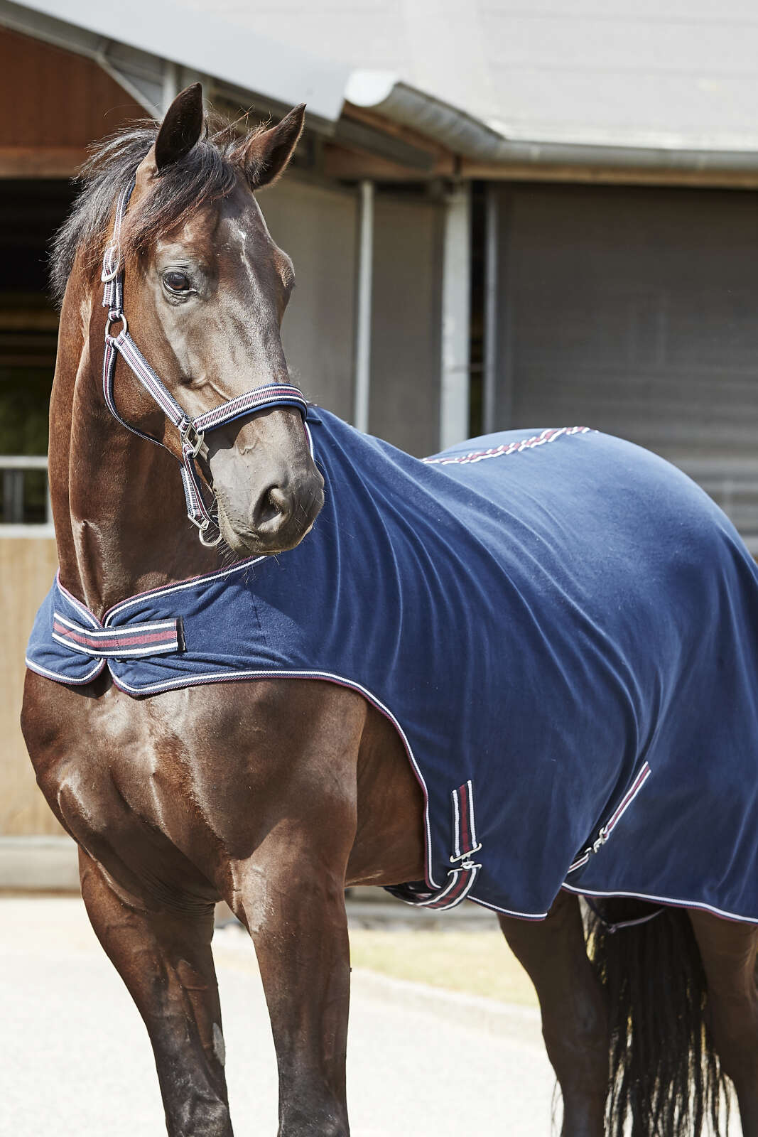 Horse Guard Karmen fleece-vandringsteppe
