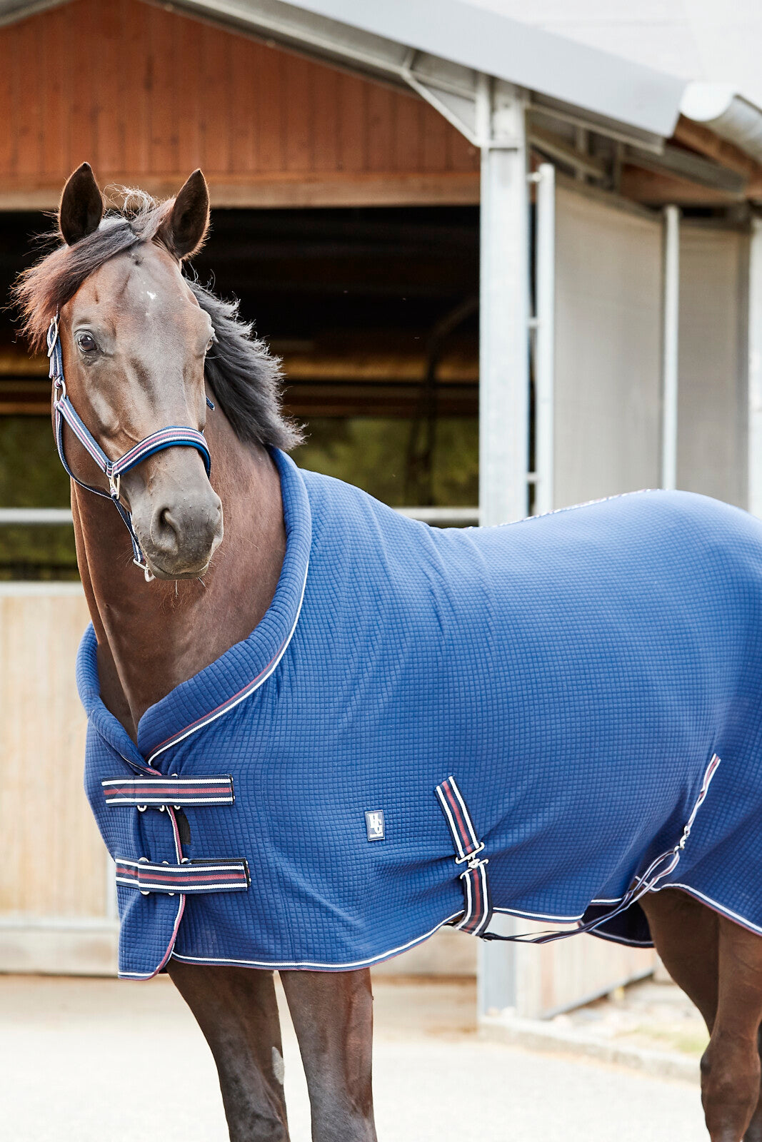 HorseGuard Kala cooler rug