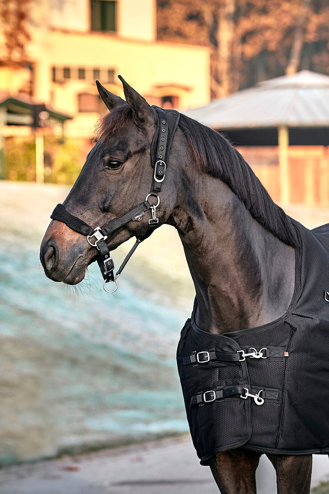 CATAGO FIR-Tech grime