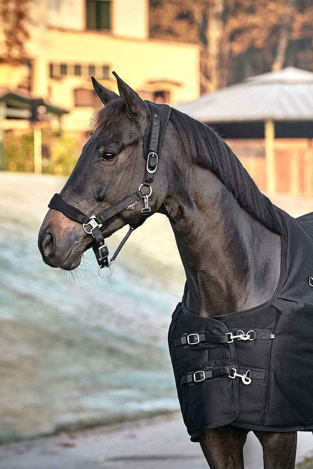 CATAGO FIR-Tech halter