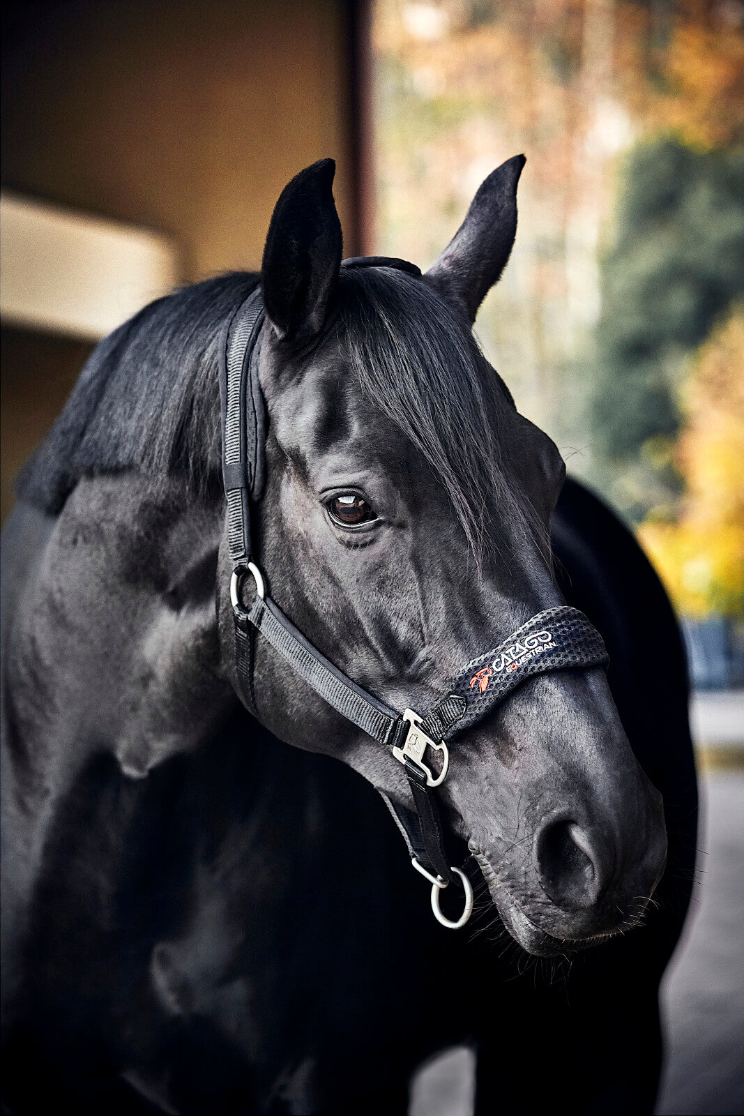 CATAGO FIR-Tech grime