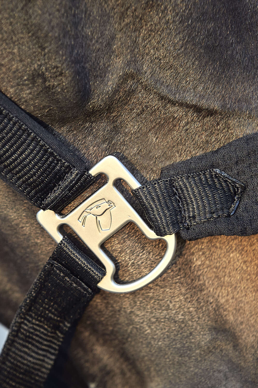 CATAGO FIR-Tech halter