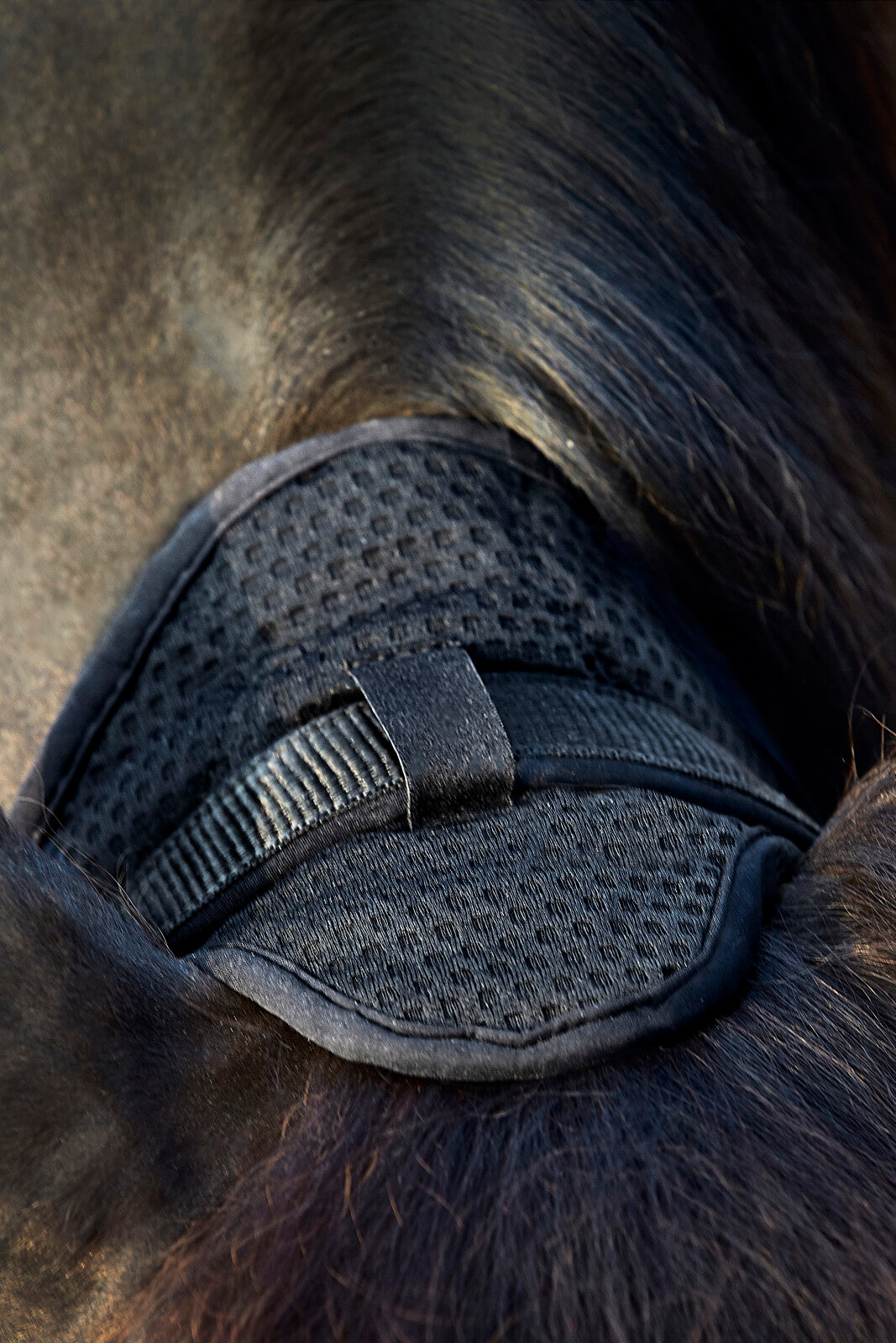 CATAGO FIR-Tech grime