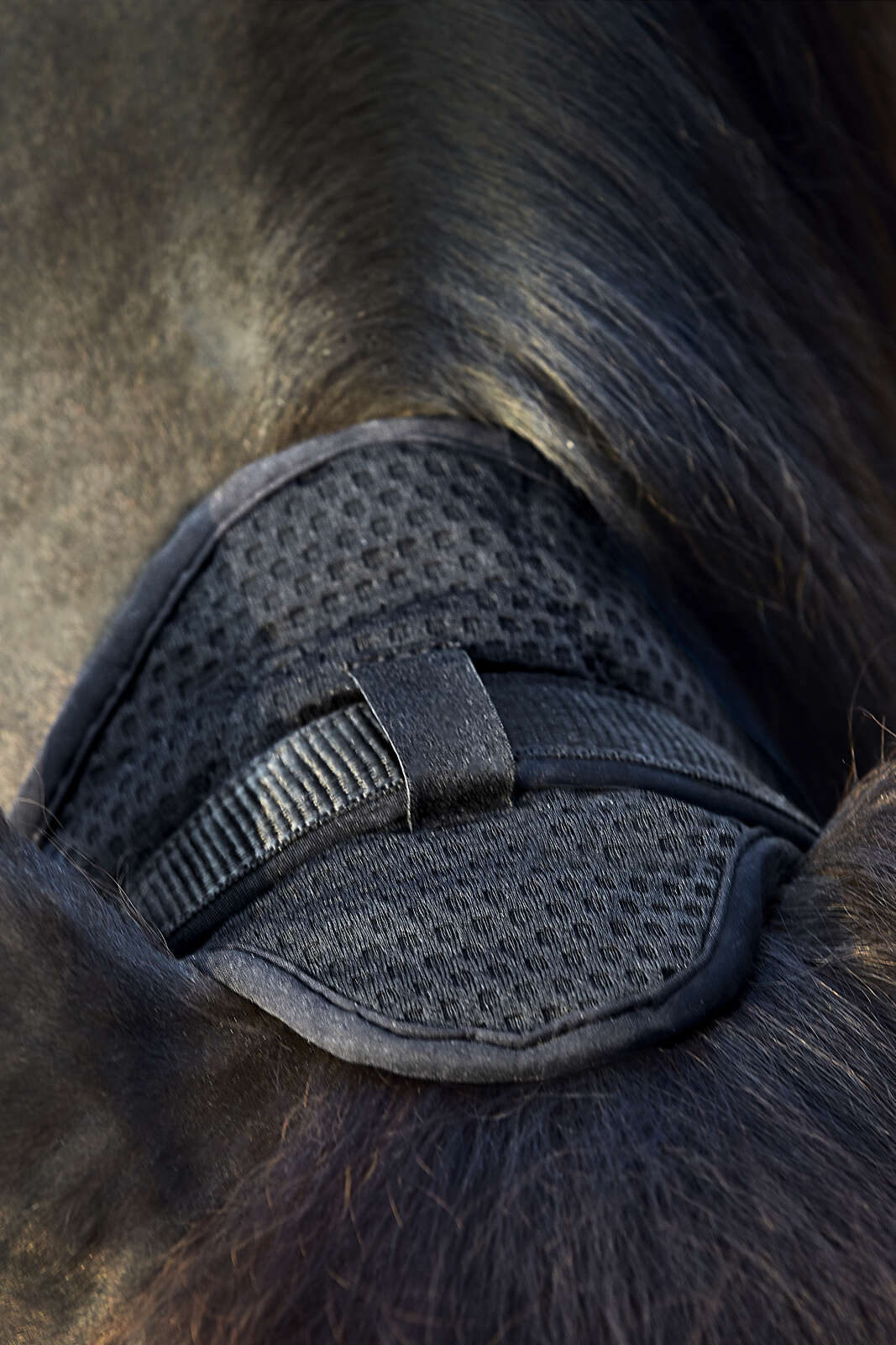 CATAGO FIR-Tech halter
