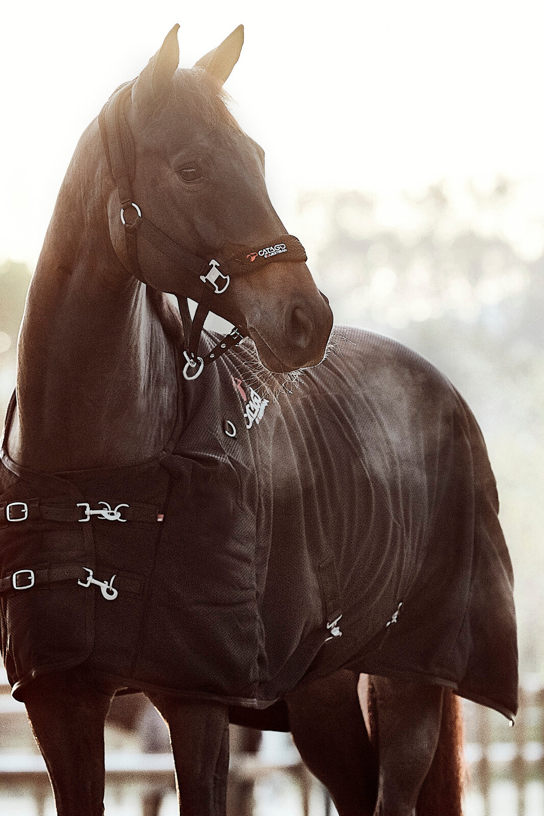 CATAGO FIR-Tech grime