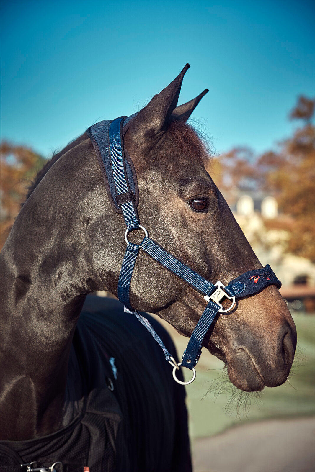 CATAGO FIR-Tech grime