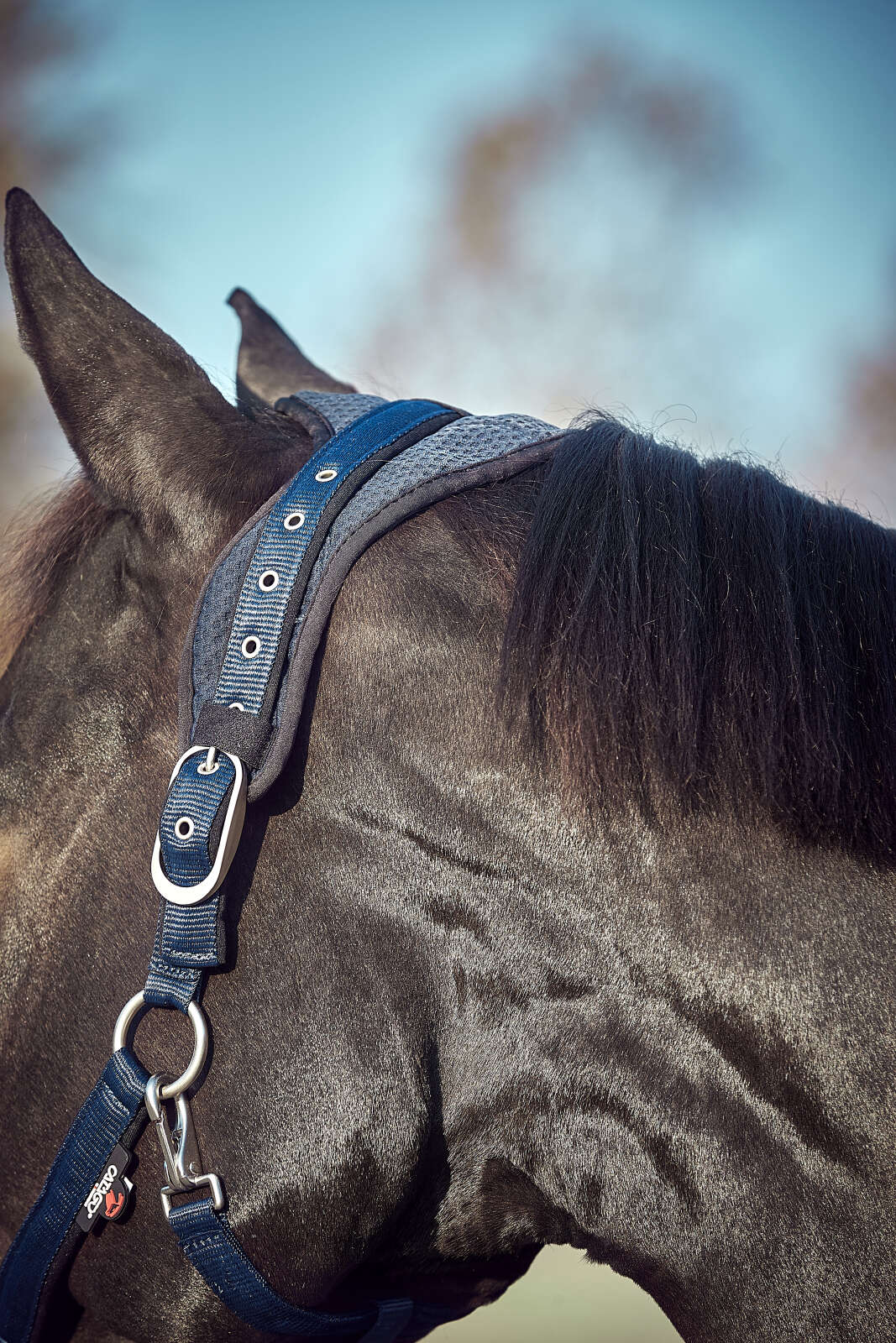 CATAGO FIR-Tech halter