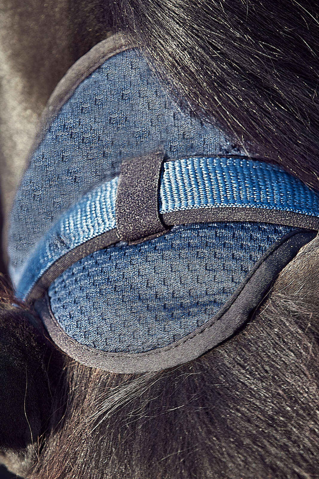 CATAGO FIR-Tech halter