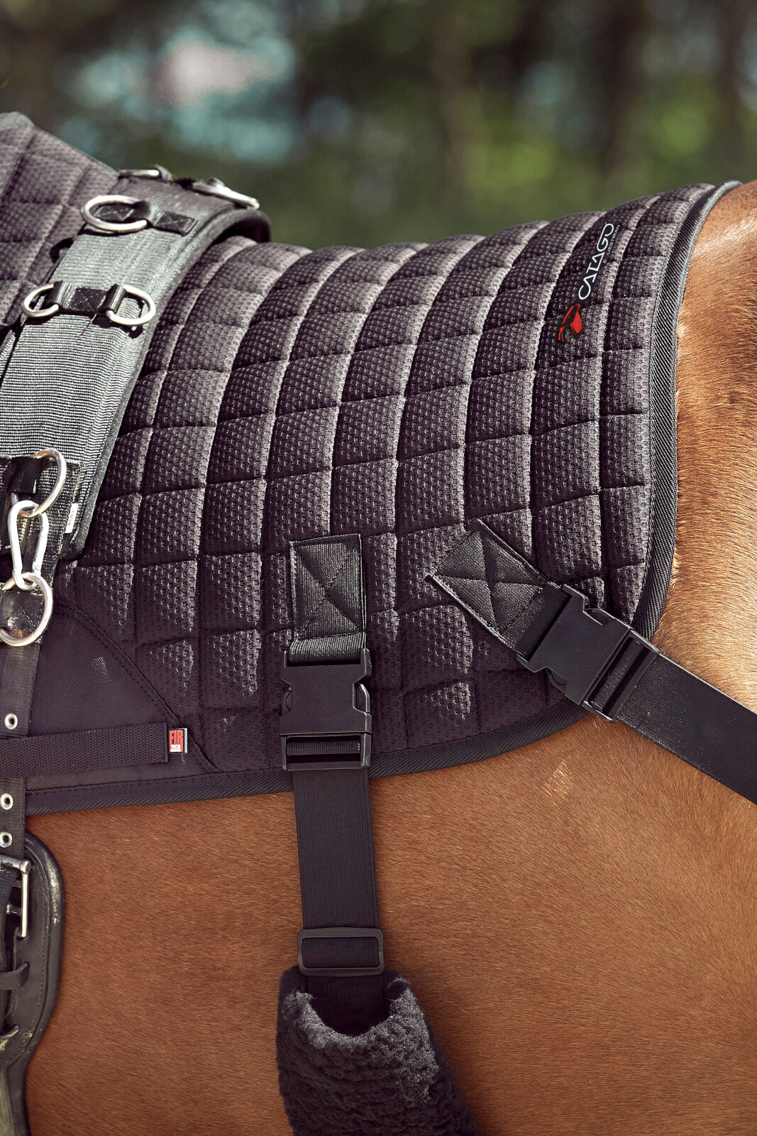 CATAGO FIR-Tech training saddle pad with elastic