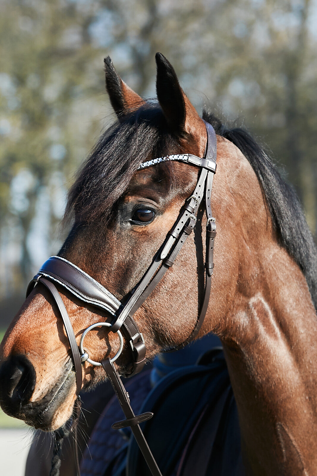HorseGuard Cryll 23.2 CRYSTAL trense komb. nb m/tbt