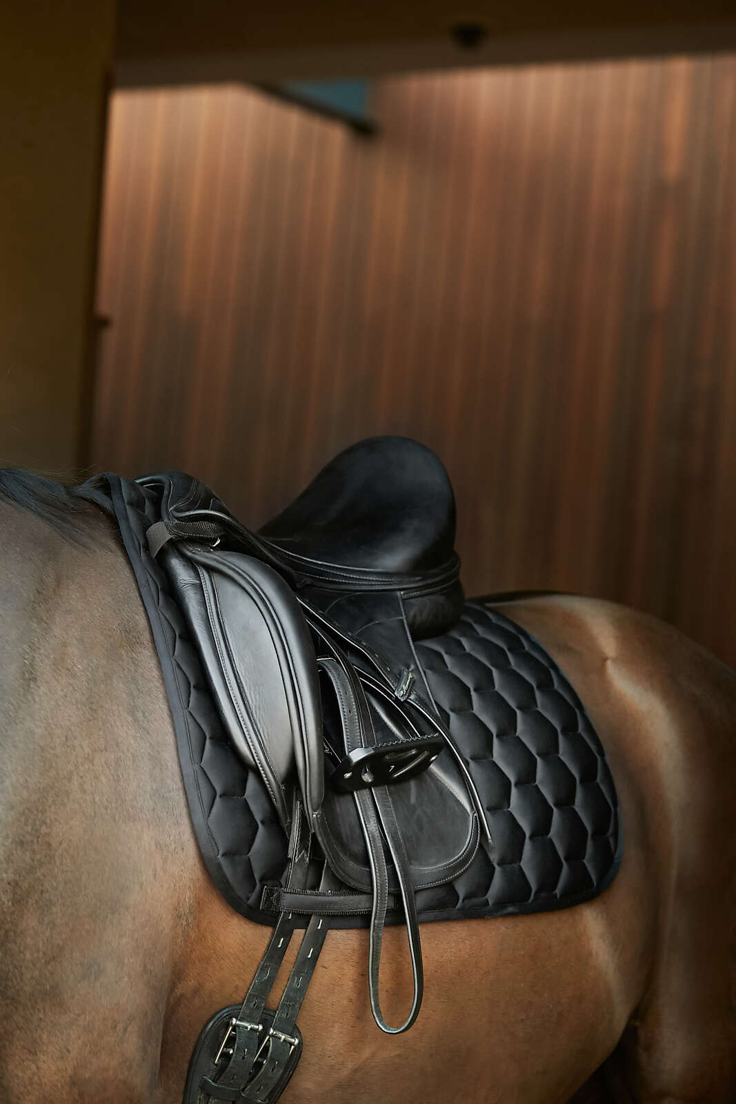 Horse Guard Lennon schabrack