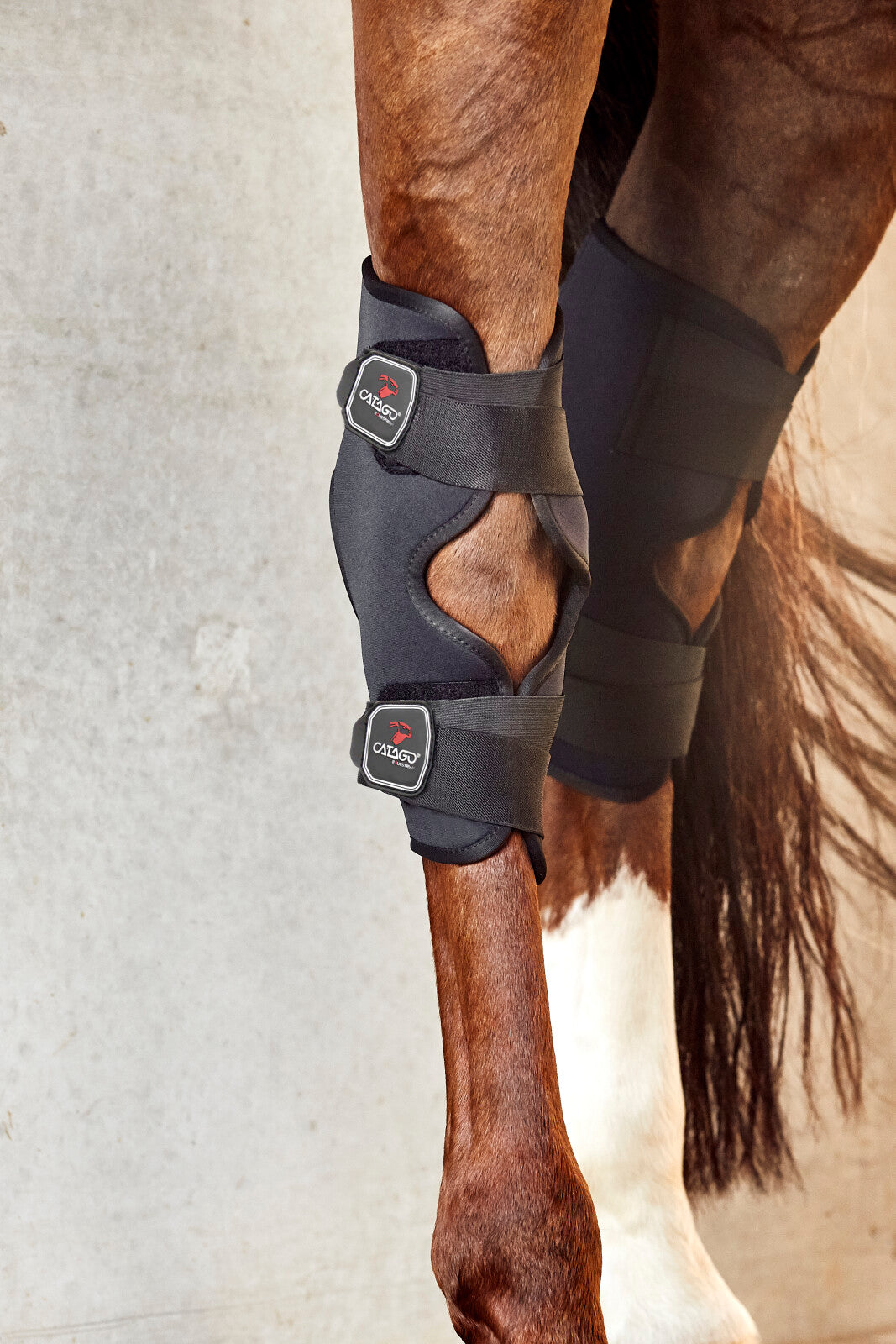 CATAGO FIR-TECH hock boot