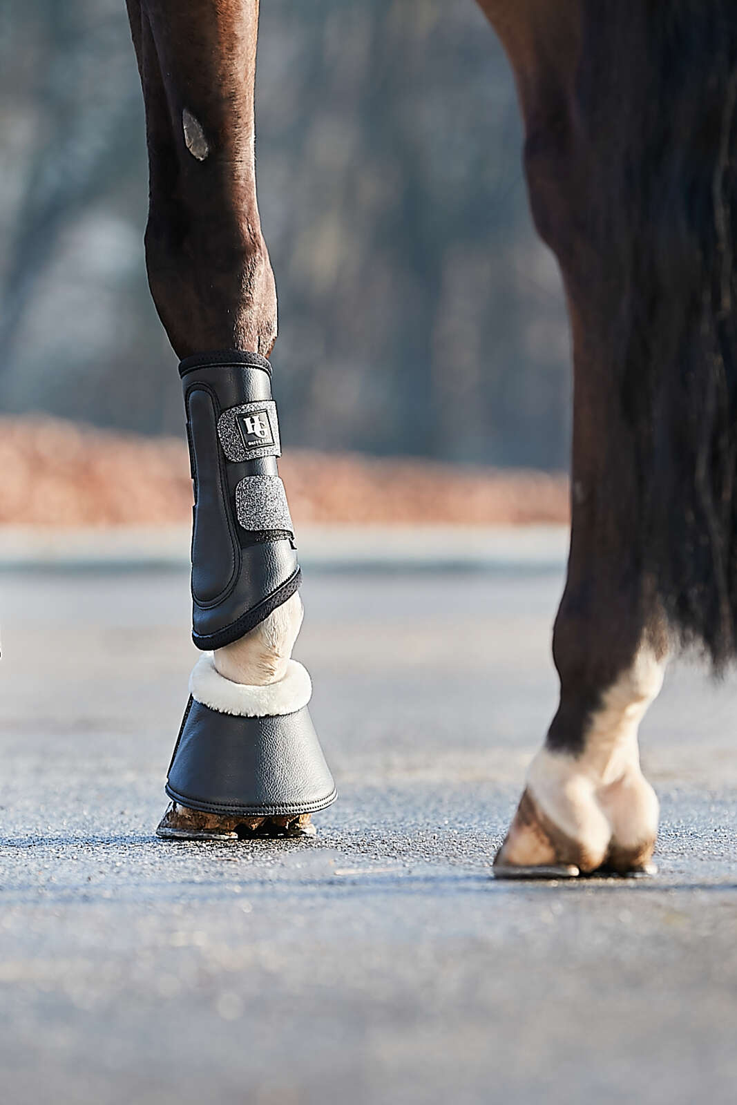 HorseGuard Lux Dressur gamacher