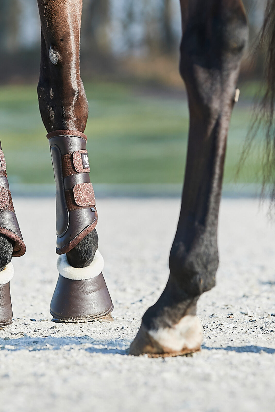 HorseGuard Leela glitter bell boots