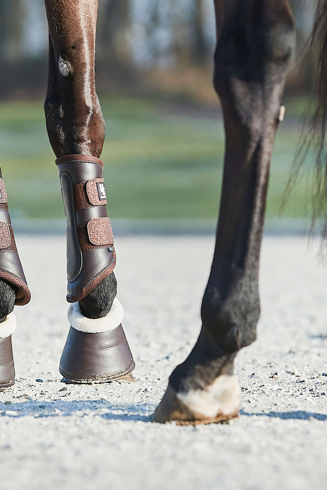 HorseGuard Leela Glitter Boots