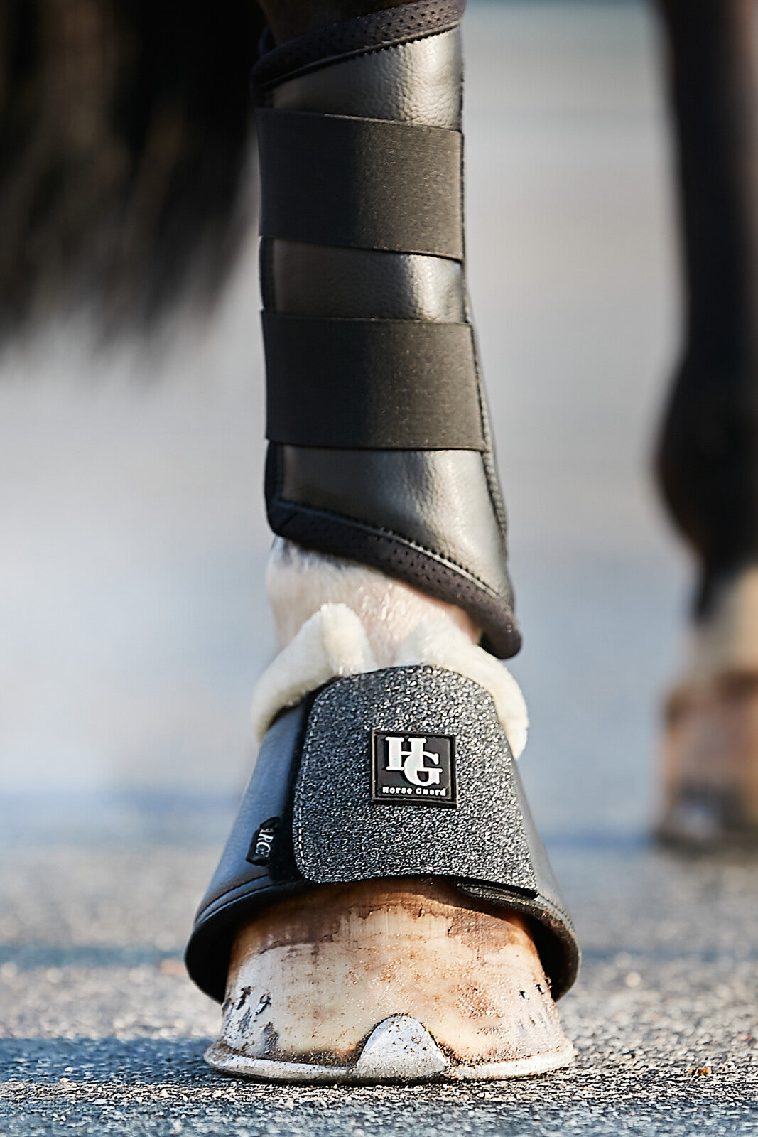 HorseGuard Leela glitter bell boots
