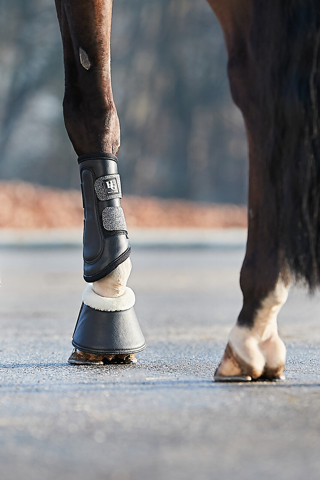 HorseGuard Leela glitter bell boots