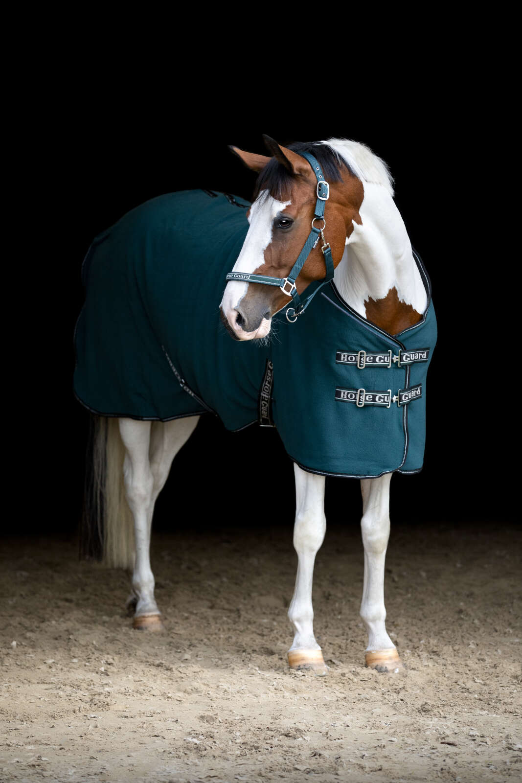 Horse Guard Layne fleece rug with teddy lining