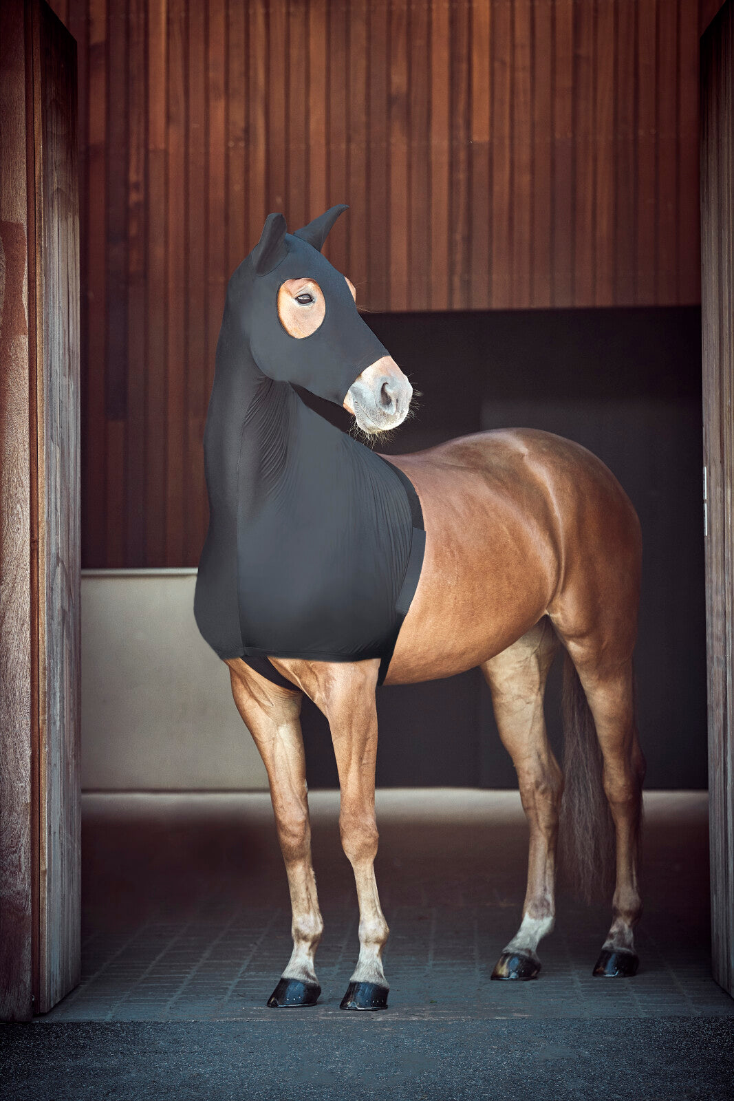 CATAGO FIR-Tech stretch hood