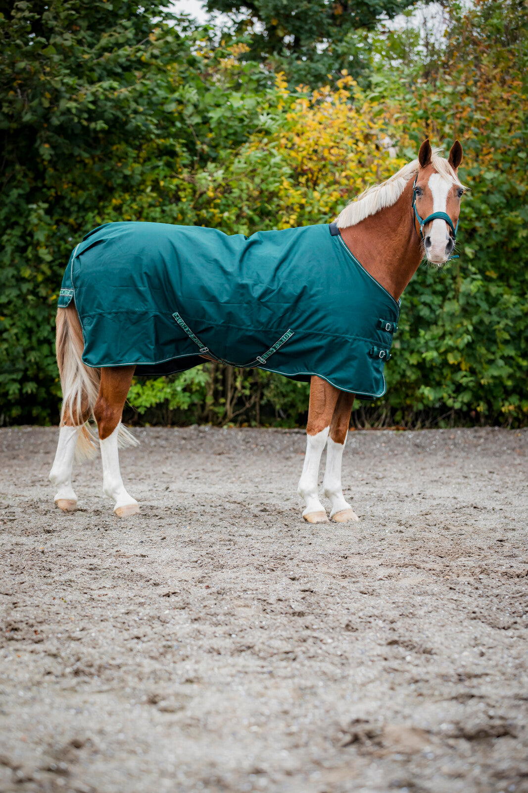 Horse Guard Landon 1200D Turnout rug, standard neck, 100g