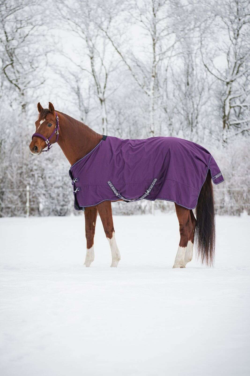 Horse Guard Landon 1200D turnout täcke 100g