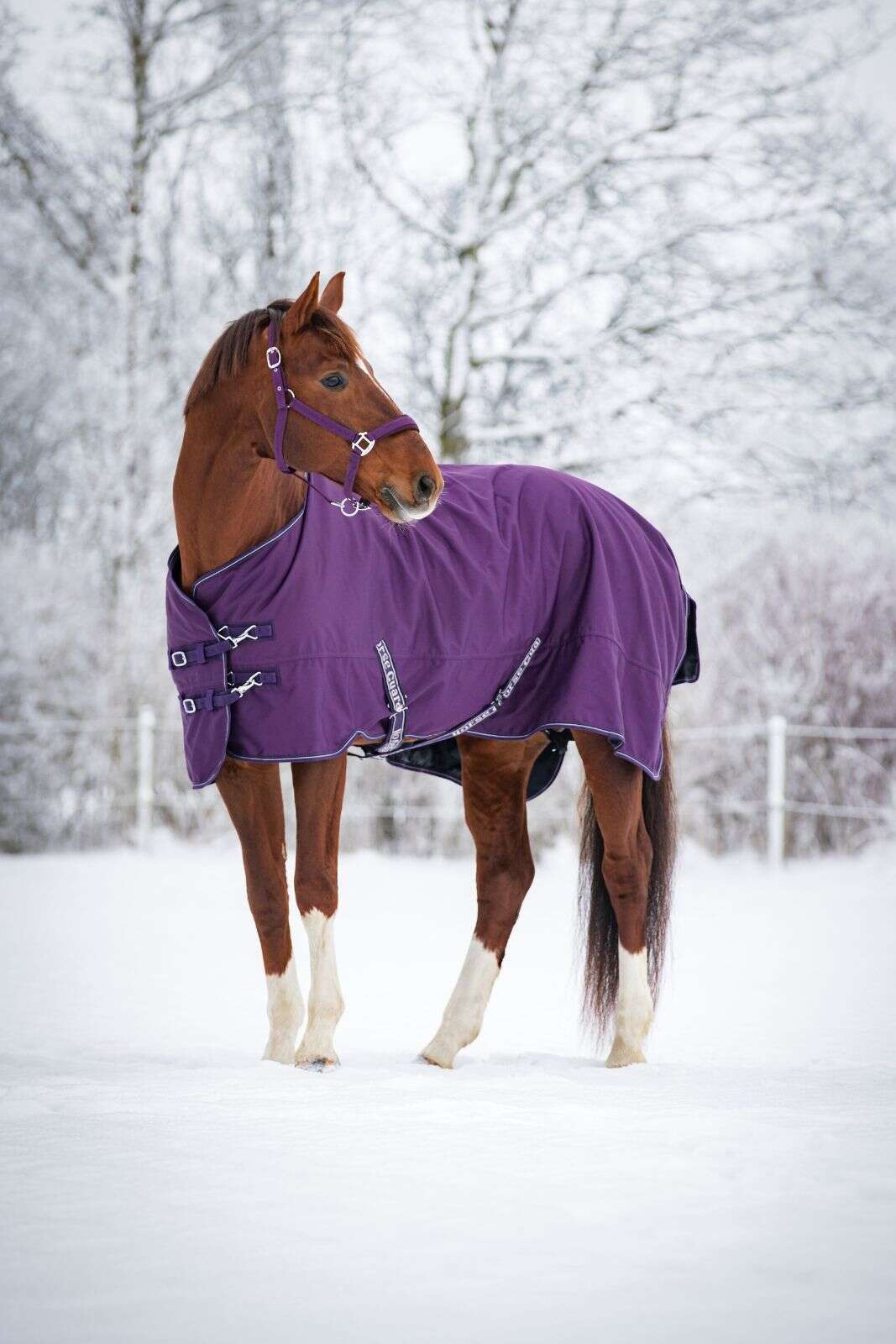 Horse Guard Landon 1200D turnout täcke 200g