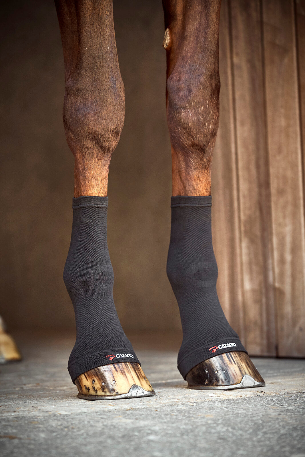 CATAGO FIR-Tech fetlock socks