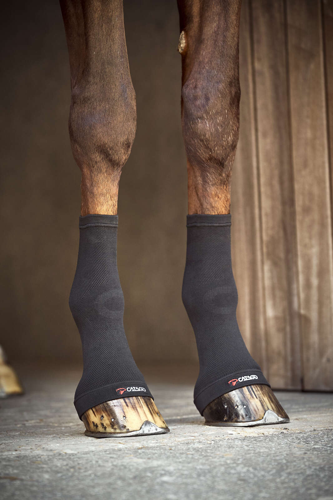 CATAGO FIR-Tech fetlock socks