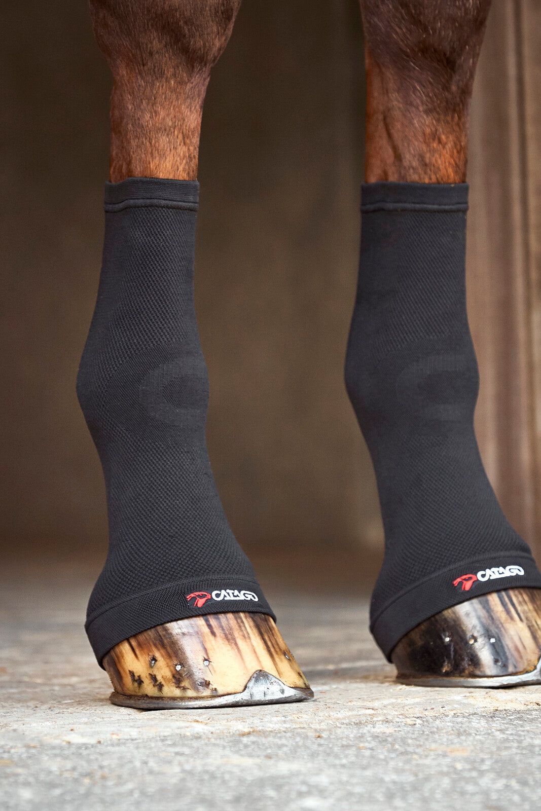 CATAGO FIR-Tech fetlock socks