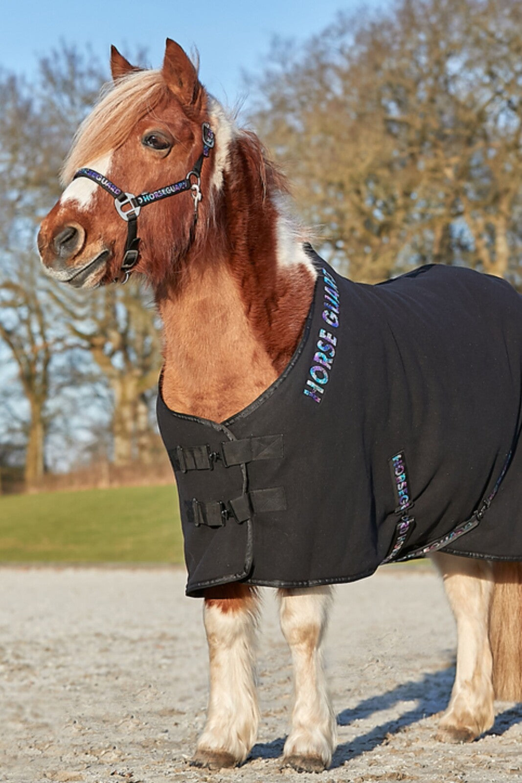 HorseGuard Liba logo halter
