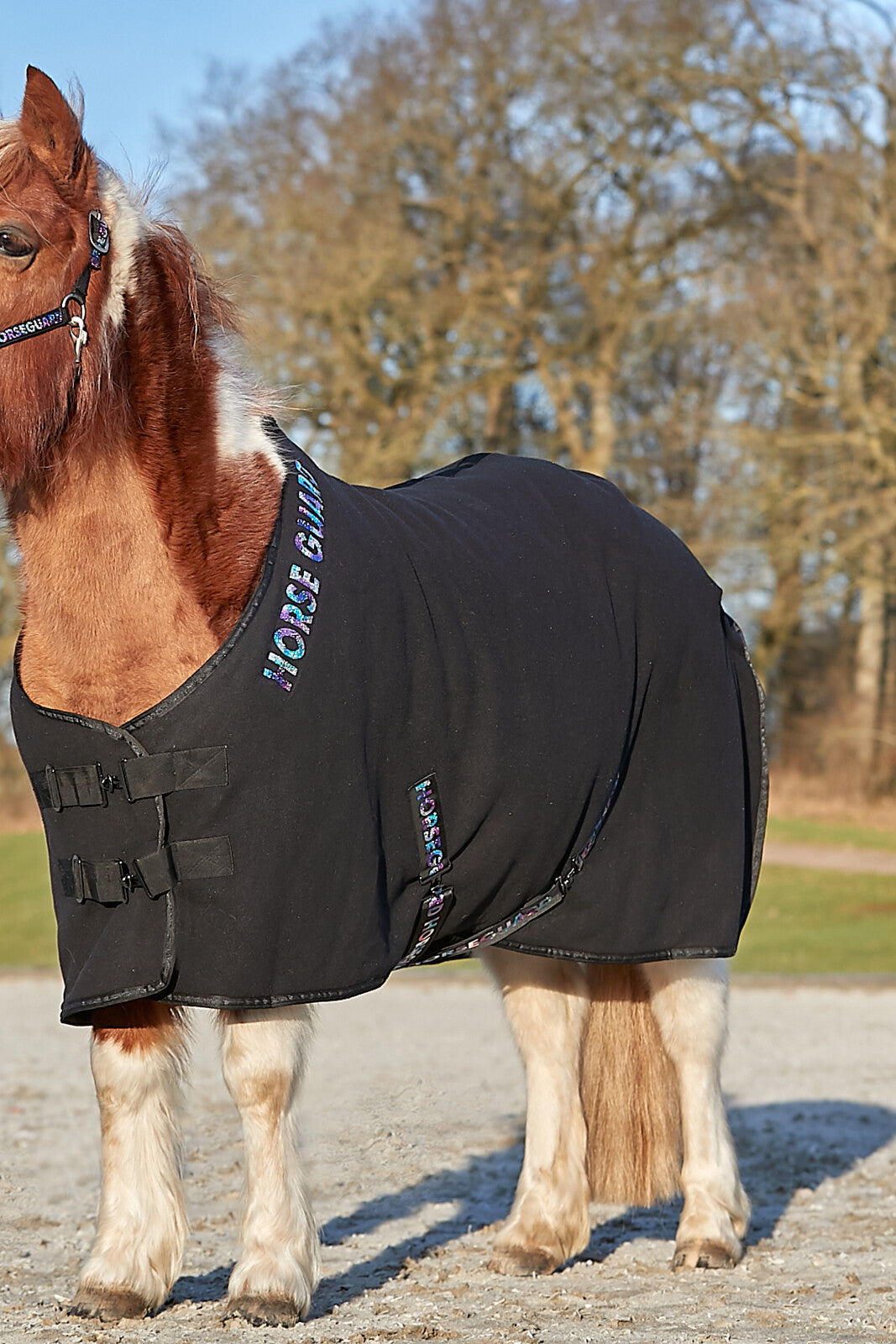 HorseGuard Liba logo halter