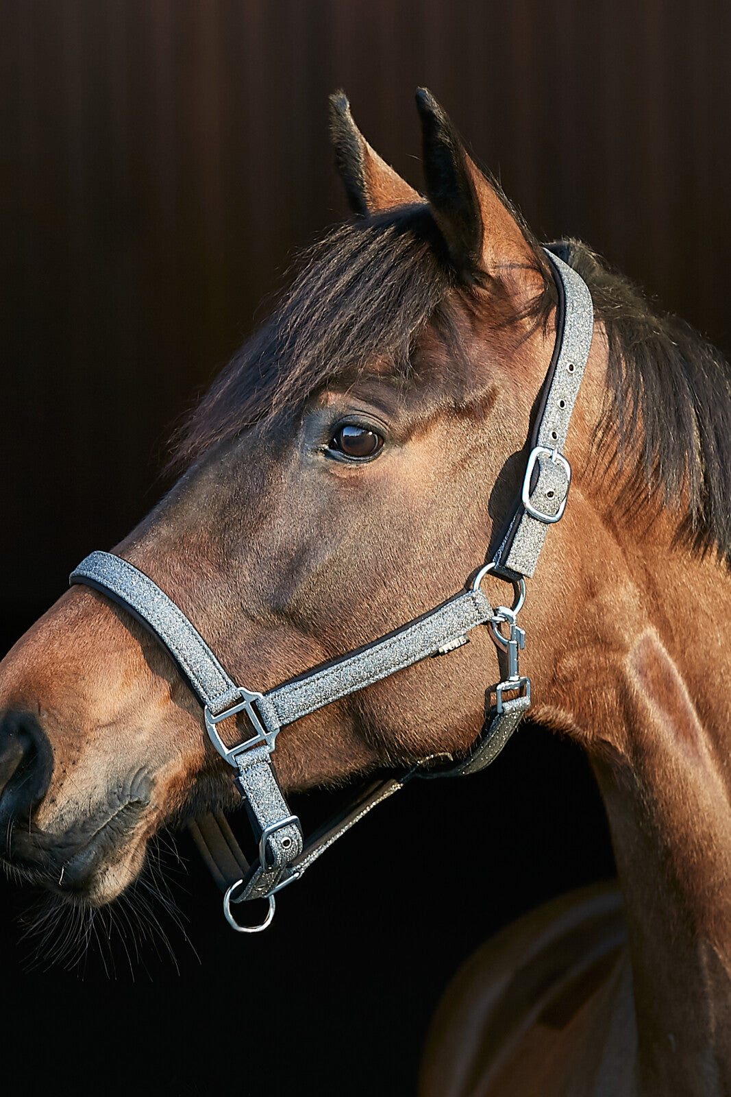 HorseGuard Lex halter