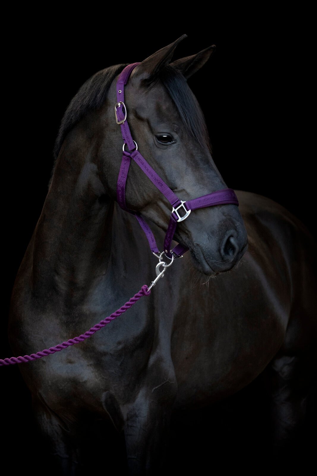 HorseGuard Diya halter 2.0 - Unamari