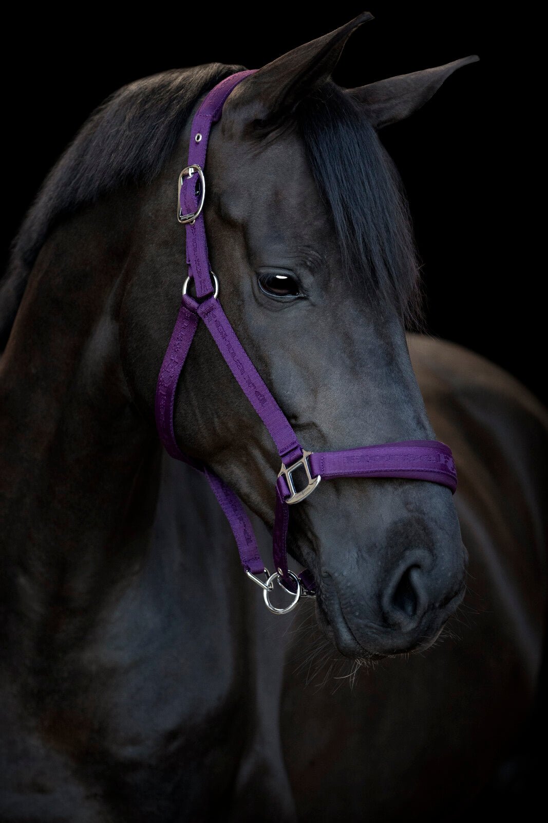 HorseGuard Diya halter 2.0 - Unamari
