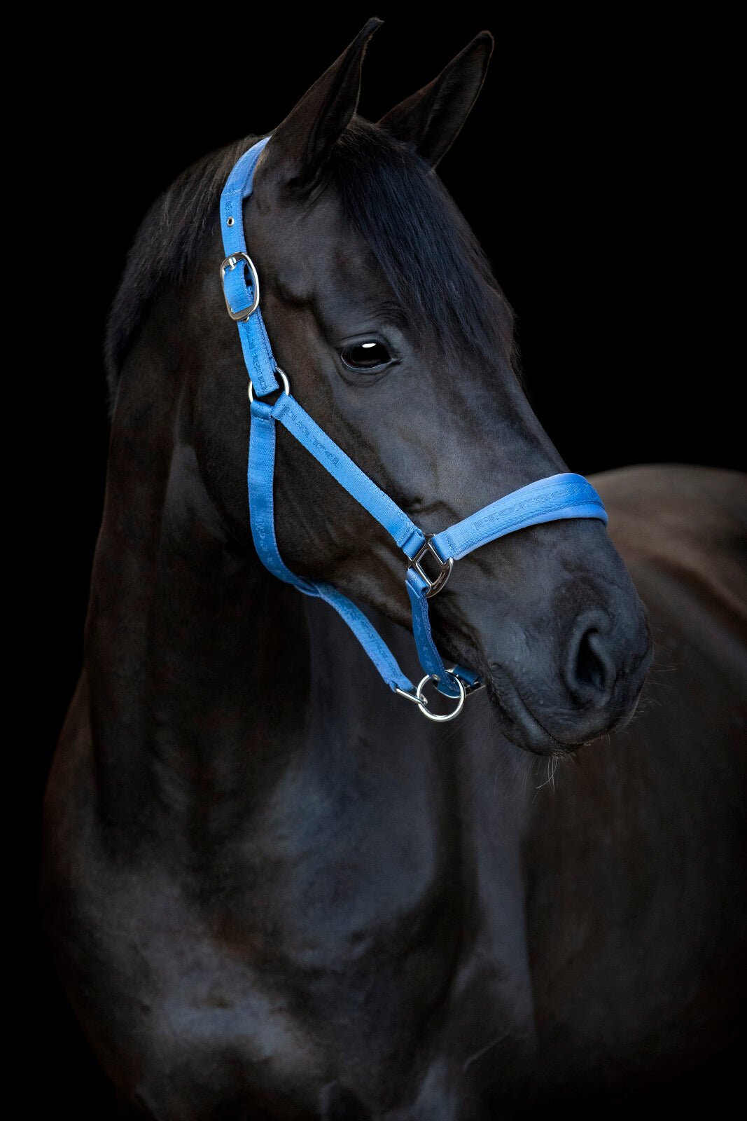 HorseGuard Diya halter 2.0 - Unamari