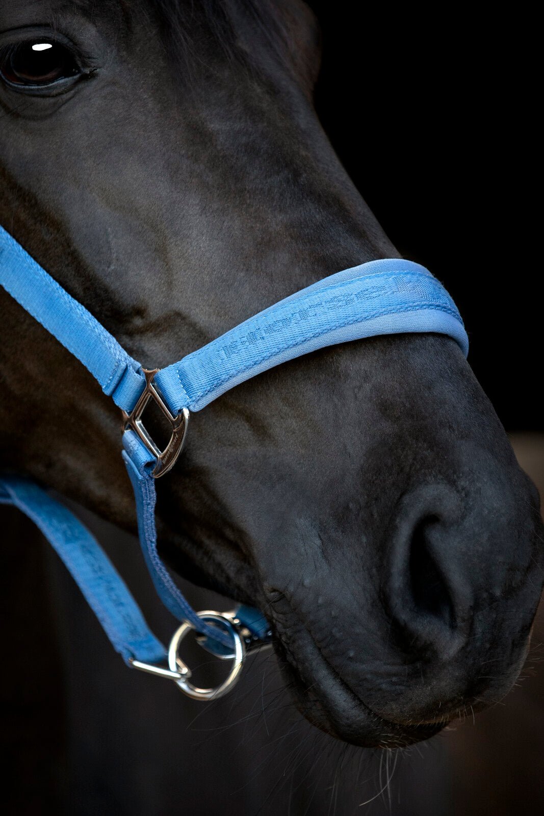 HorseGuard Diya halter 2.0 - Unamari