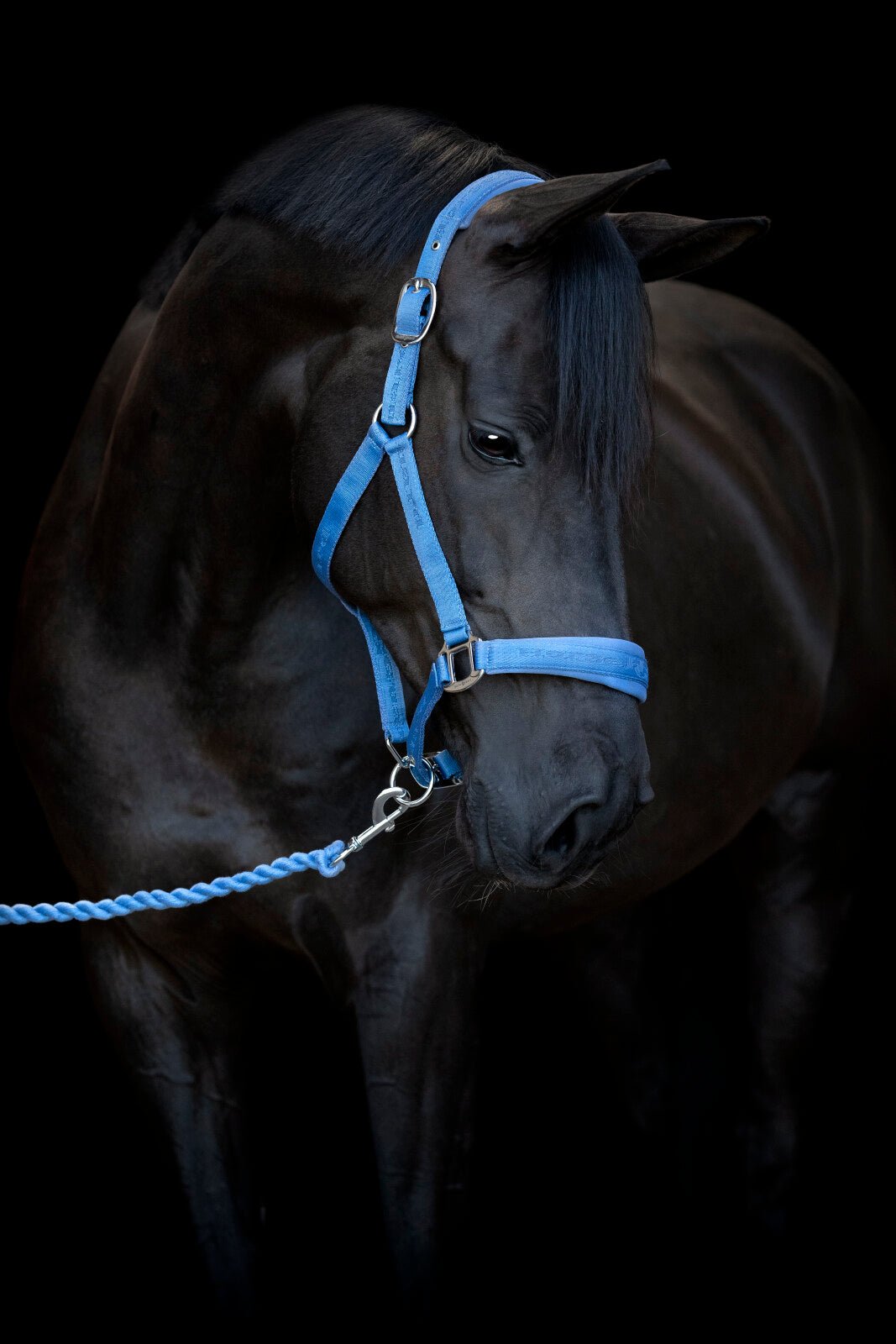 HorseGuard Diya halter 2.0 - Unamari