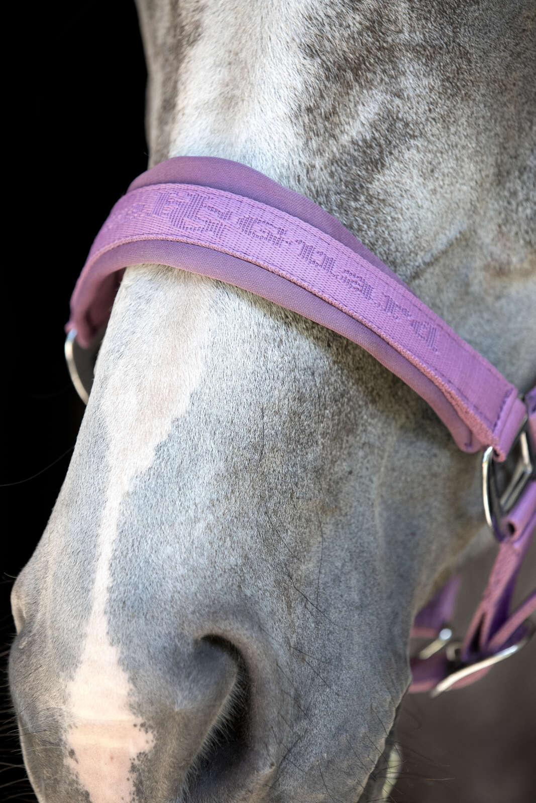 Horse Guard Diya 2.0 Halter