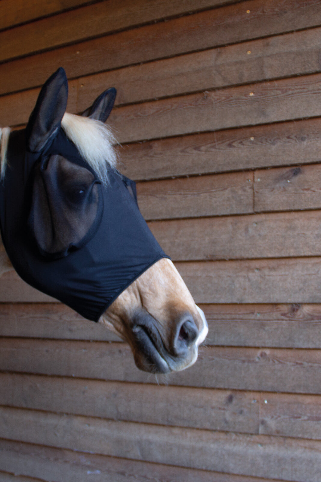 CATAGO FIR-Tech fly mask