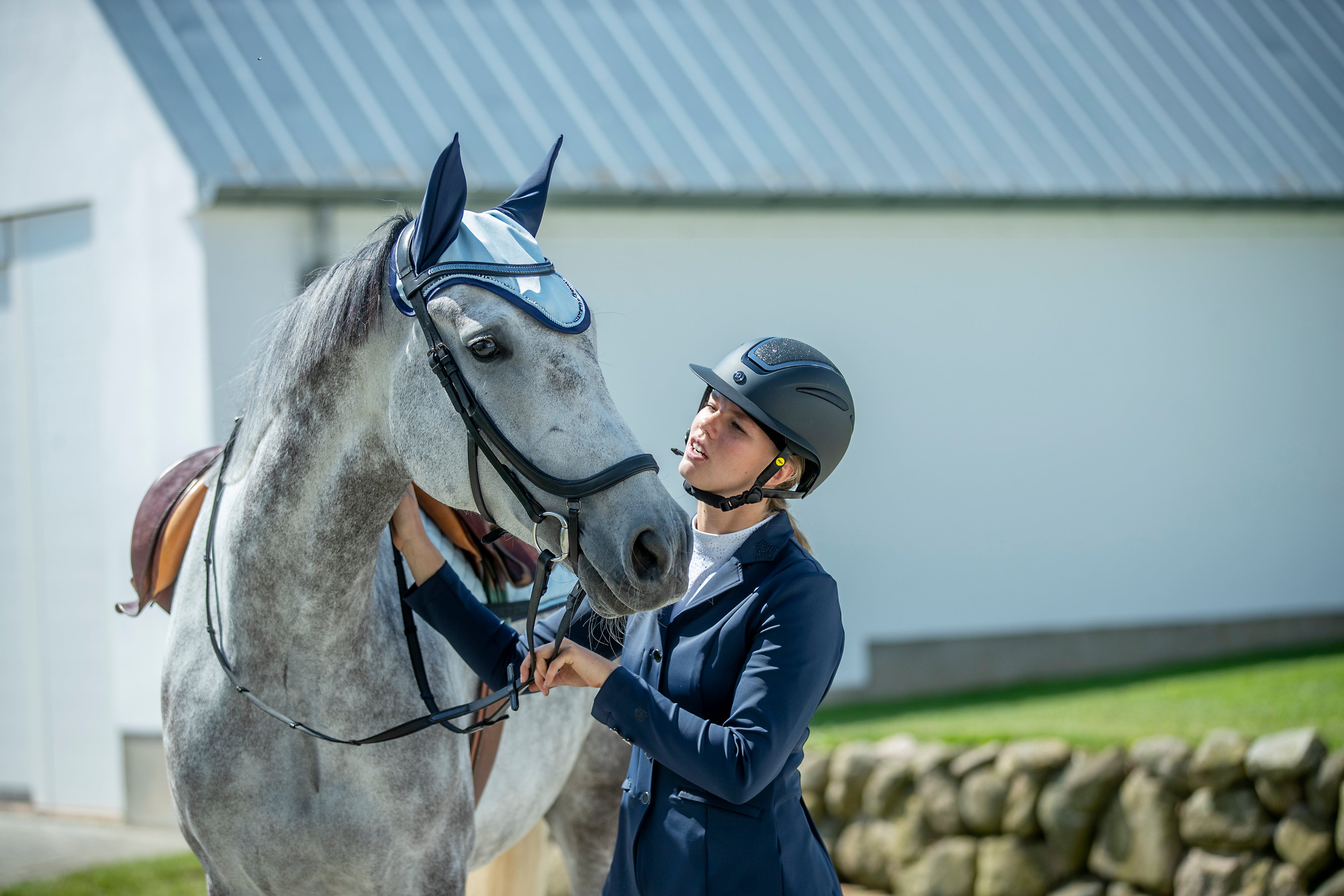 Horse in full equipment and a girl