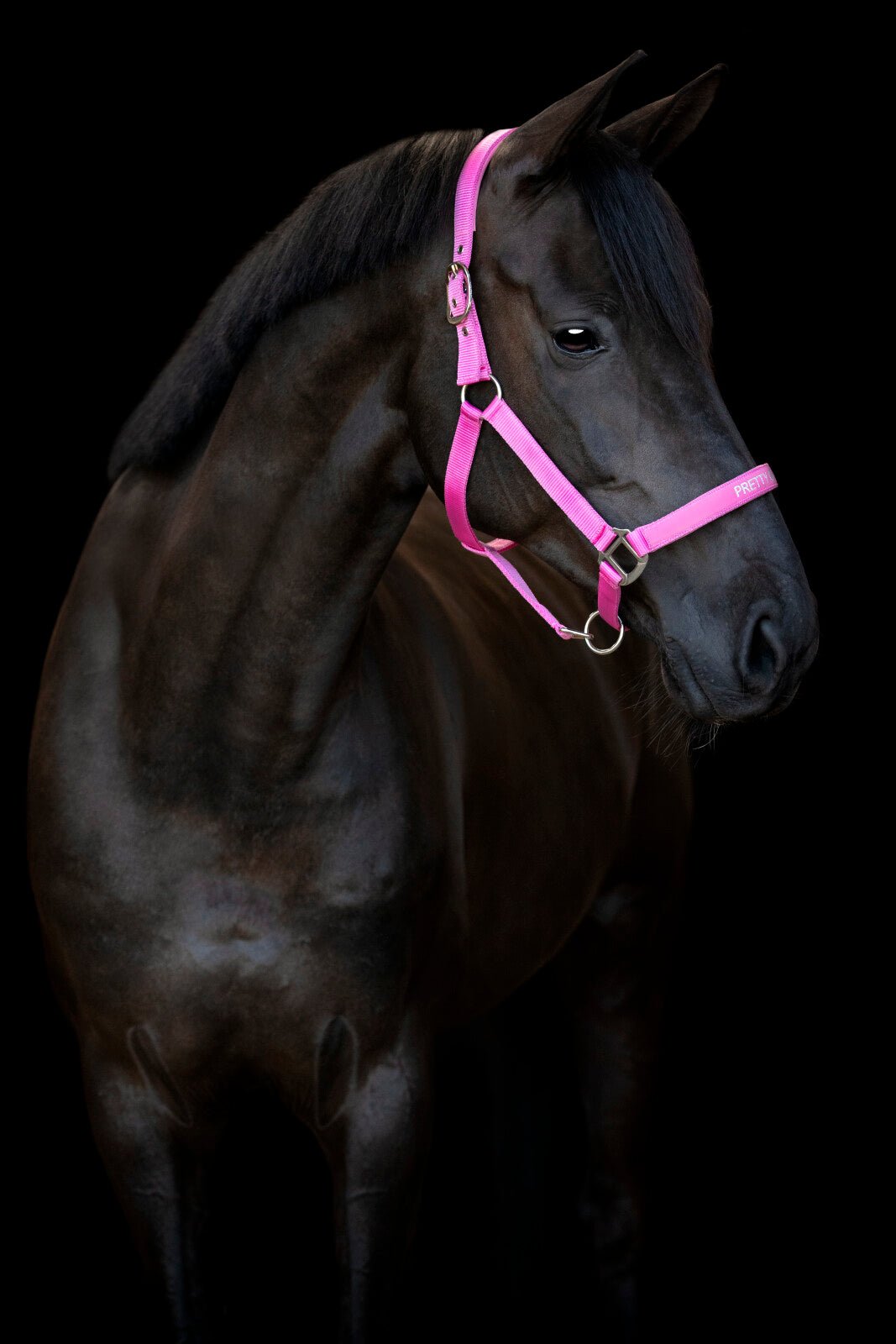 Horse Guard Malva halter "Pretty Girl" - Unamari