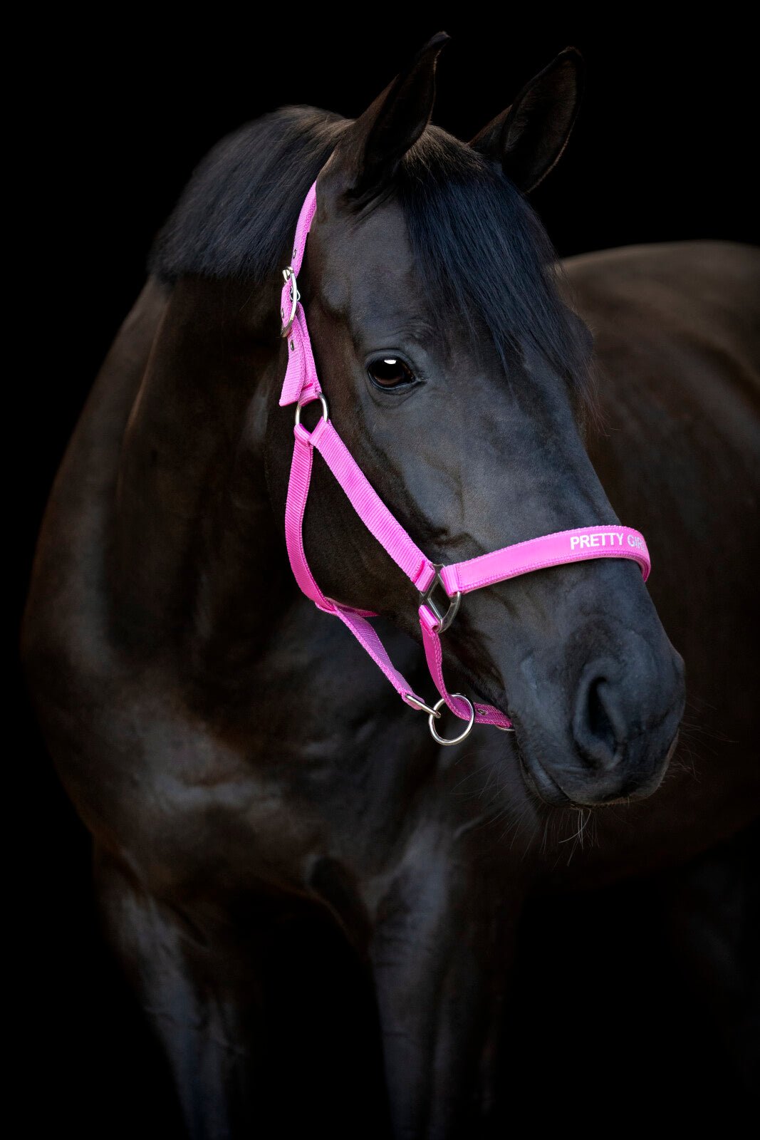 Horse Guard Malva halter "Pretty Girl" - Unamari
