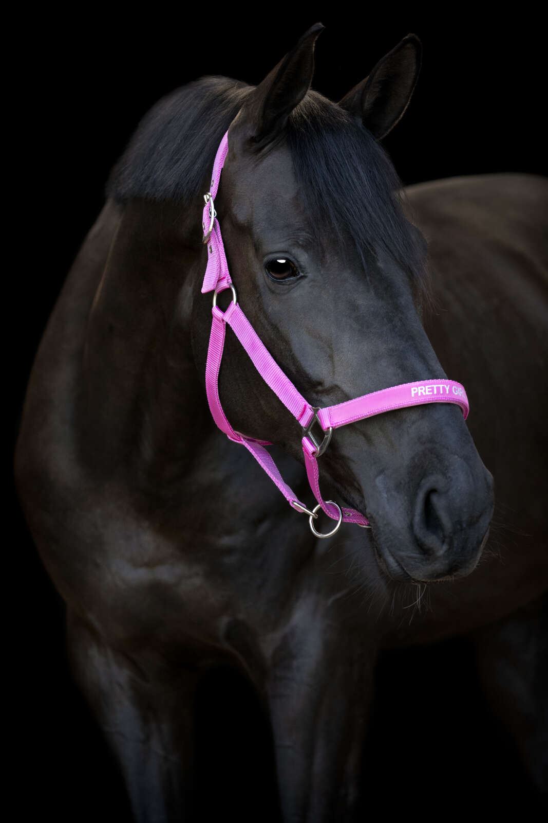 Horse Guard Malva grime "Pretty Girl"