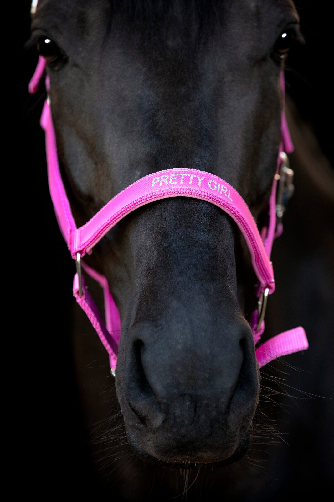 Horse Guard Malva halter "Pretty Girl" - Unamari