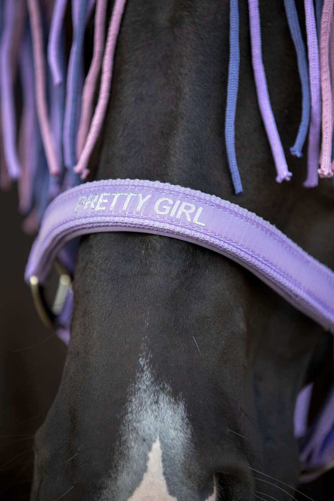 Horse Guard Malva grime "Pretty Girl"