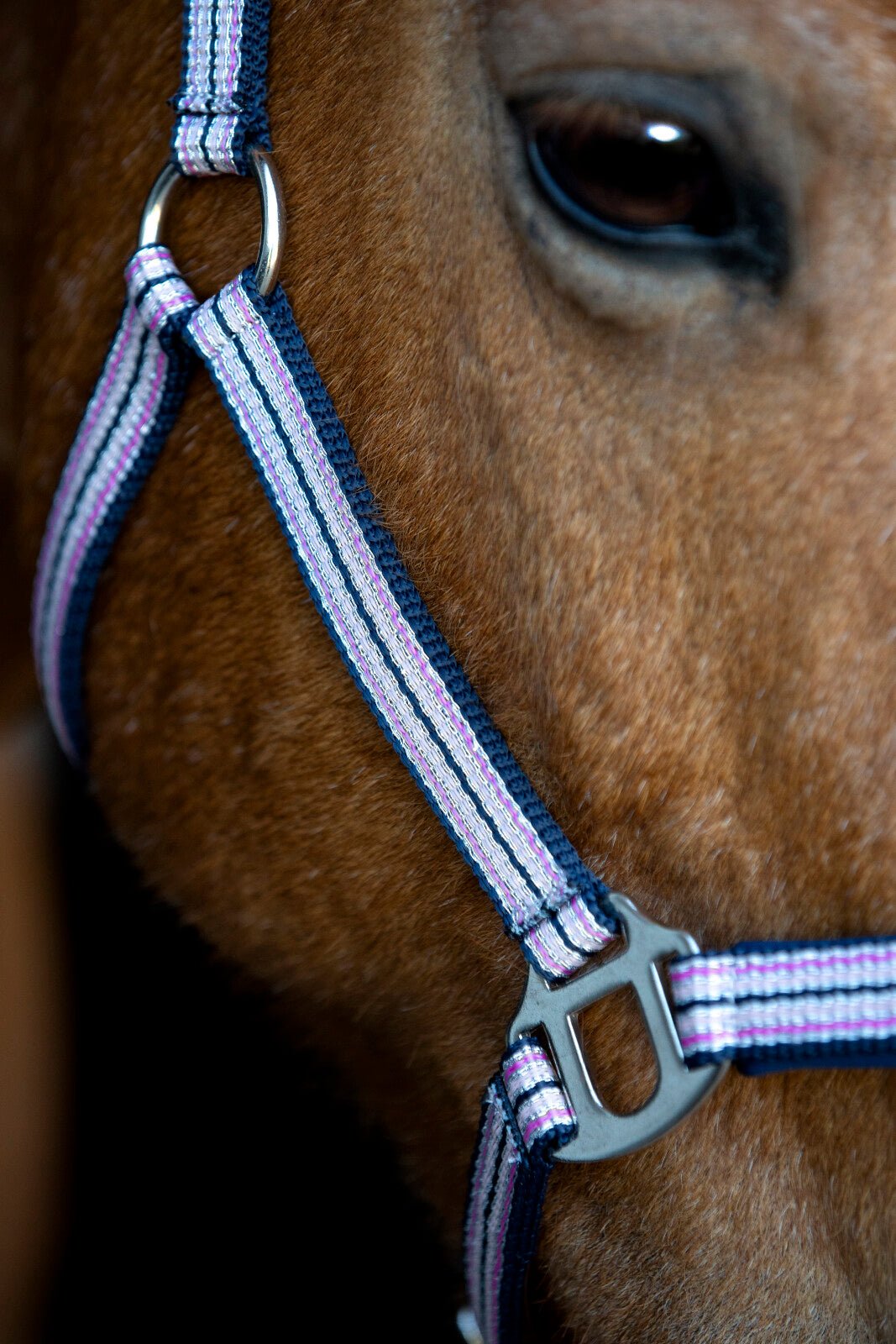 HorseGuard Mascha halter - Unamari