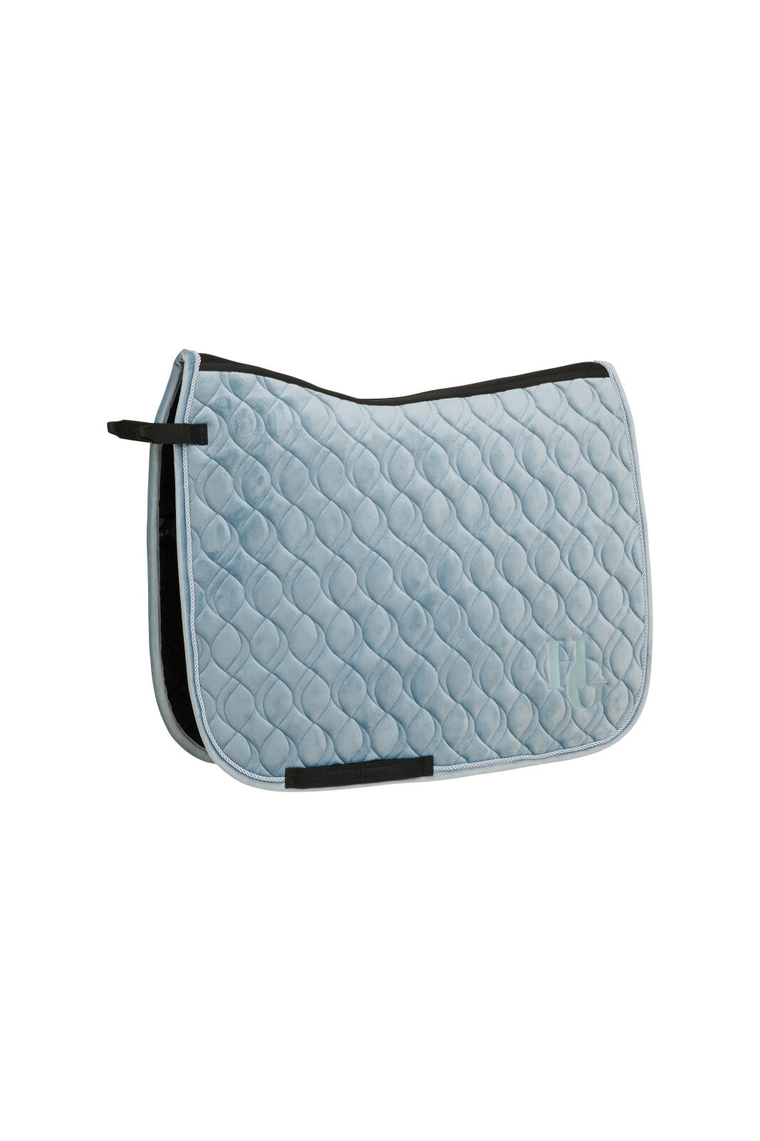 Horse Guard Simone schabrak